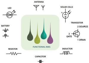 Printable functional materials and devices