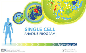 The National Institutes of Health is challenging science innovators to compete for prizes totaling up to $500,000, by developing new ways to track the health status of a single cell in complex tissue over time.