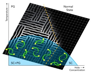 Experiments at SLAC have produced the first direct evidence that the pseudogap competes for electrons with superconductivity over a wide range of temperatures at lower hole concentrations (SC+PG). At lower temperatures and higher hole concentrations, superconductivity wins out.<br.Credit: SLAC National Accelerator Laboratory 