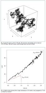 computer_simulation2