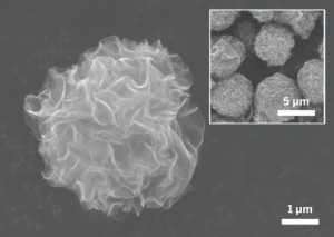 The 5-µm-diameter graphene balls in these scanning electron microscope images contain graphene nanosheets radiating outward from the center.Credit: Chem. Mater. 