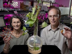 Rutgers researchers Martha Greenblatt (left) and Chalres Dismukes (right) have developed a cost-effective energy storage technology to advance sustainable energy.Image: Nick Romaneko/Rutgers University 