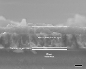 The lab fabricated the 500-nanometer films by anodyzing a cobalt film electrodeposited on a substrate.Image: Rice University