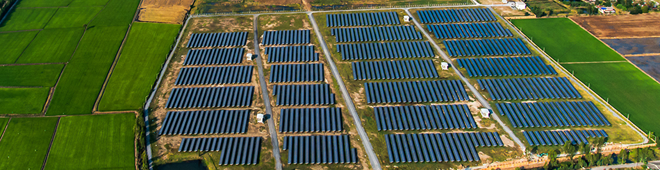 Solar Farm