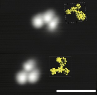 A scanning tunneling microscope image shows two three-wheeled nanoroadsters.Image: Alex Saywell/Leonhard Grill