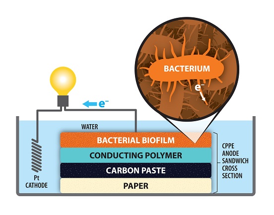 Microbial fuel cell