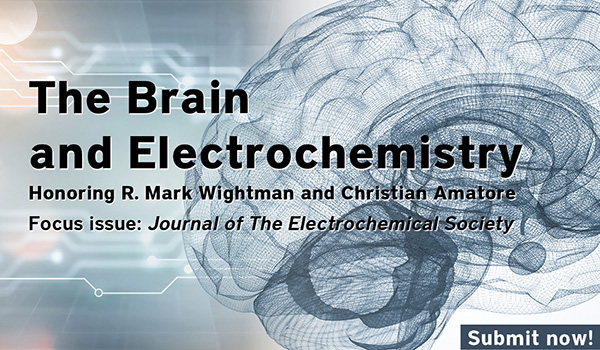 The Electrochemical Society