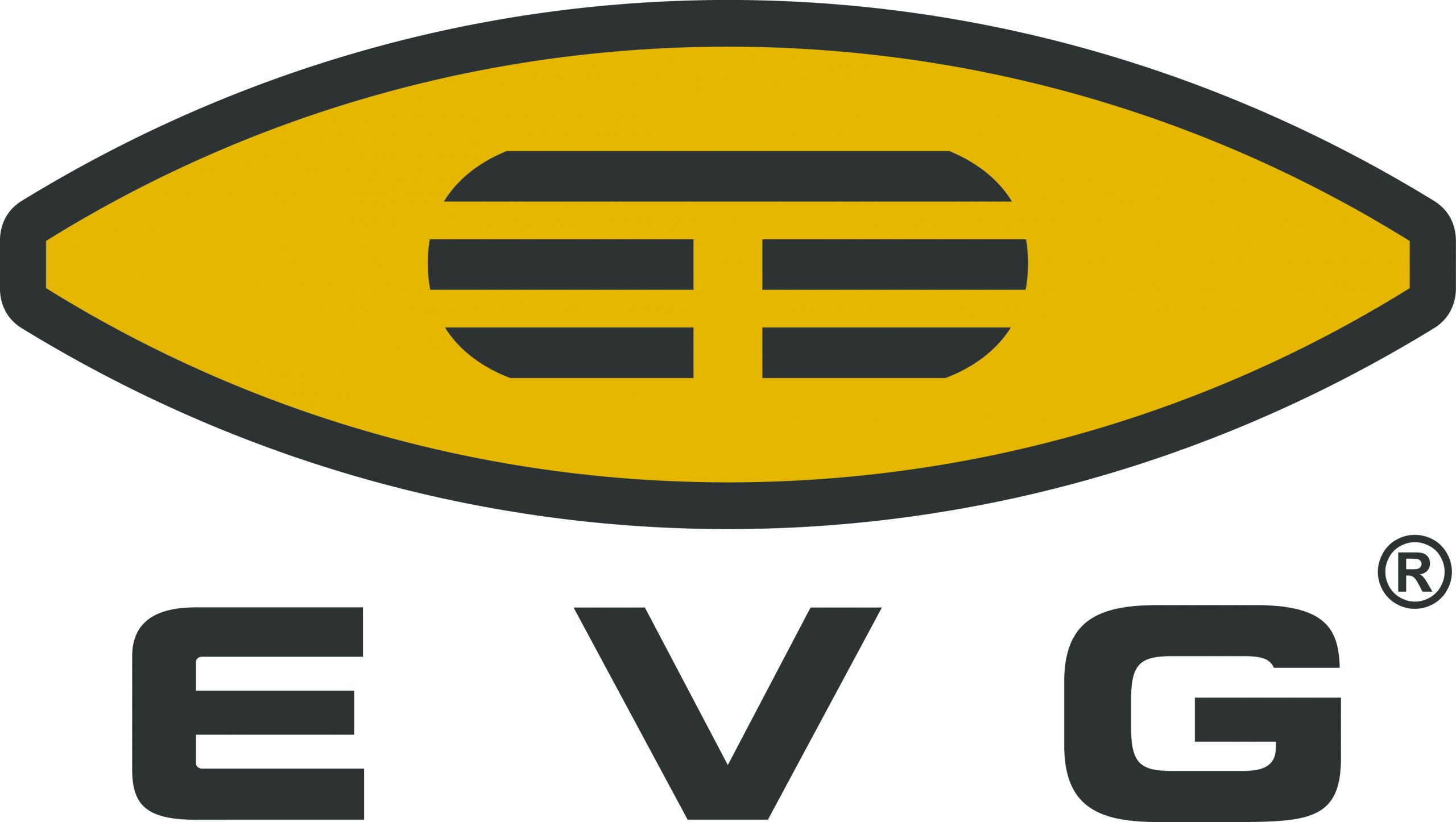 EV Group